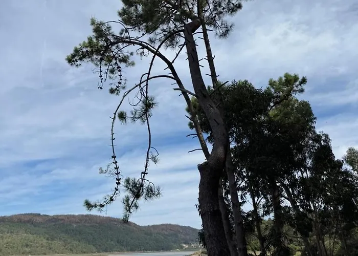 Hotel My Monte Blanco